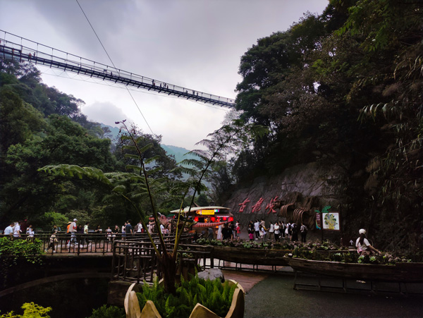 IMG_20250419_153314.jpg IMG_20250419_153314.jpg